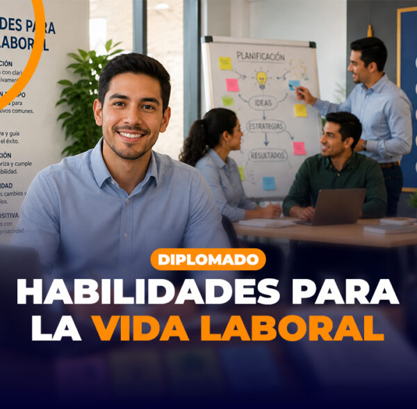 PORTADA (13)